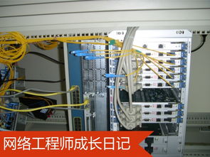 網絡工程師成長日記402 烏審旗某采氣廠項目實錄